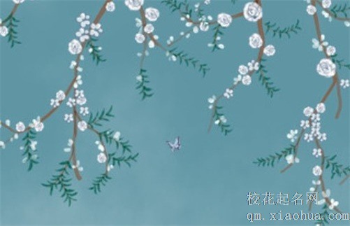 小雪节气吃什么菜最养生 最养生的小雪节气吃食