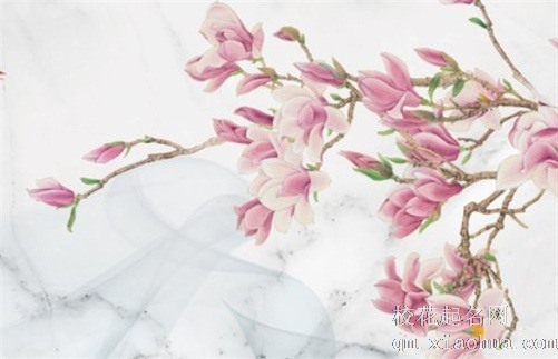 小雪节气文案素材 小雪节气温馨提示语