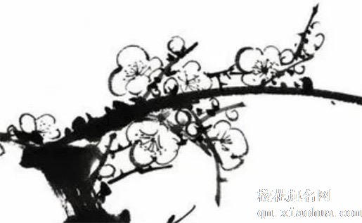 沙发后面挂什么画旺财镇宅 背景画挂什么寓意好