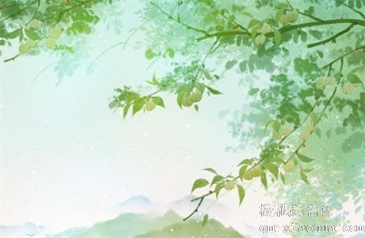 腊月二十六赶年集  辞旧迎新洗福禄