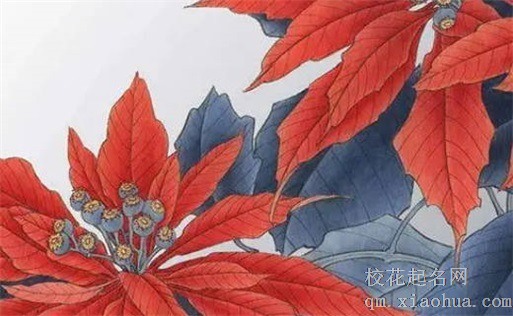 正月初一忌讳的事情 避免说不吉利的话