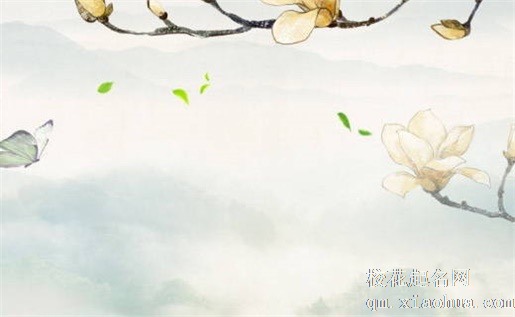 客厅西墙沙发背景墙挂什么画好  小桥流水惬意舒适