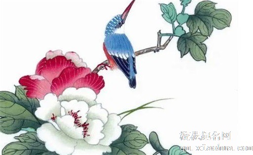 正月初三躲星是什么意思 九星看男女命运