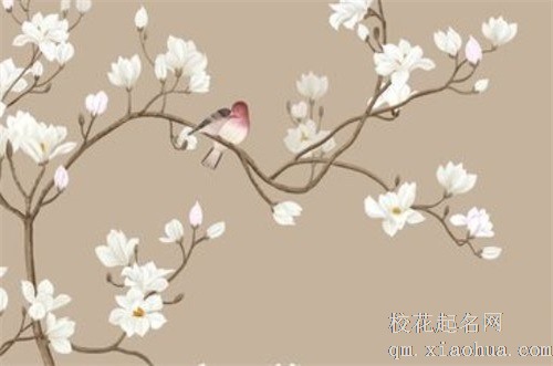 正月初二吃的午餐叫什么饭 开年饭寓意来年五谷丰登风调雨顺