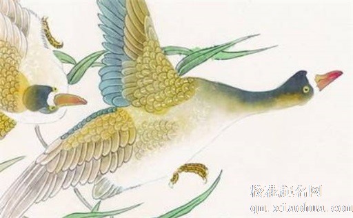 葫芦为什么不能随便买 天然的葫芦可以辟邪吗