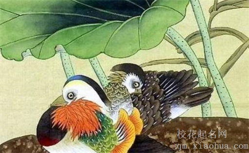 十二生肖谁和葫芦有关系 生肖属猪人挂葫芦破财