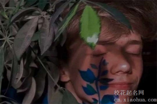 干事业一把好手的星座女