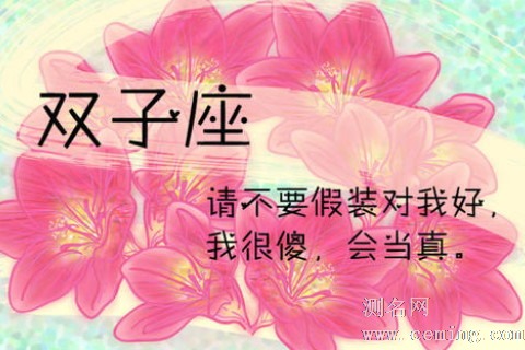 双子座和什么座最不配