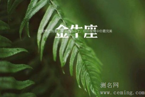 金牛男的最佳配对星座