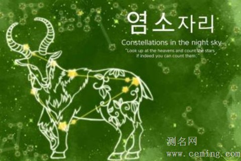摩羯男的最佳配对星座