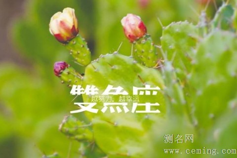 双鱼男的最佳配对星座