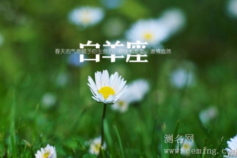 白羊座和哪个星座最配