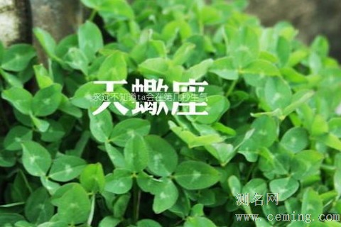 天蝎座和哪个星座最配