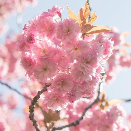 冒死揭秘！12星男把温柔给了谁？