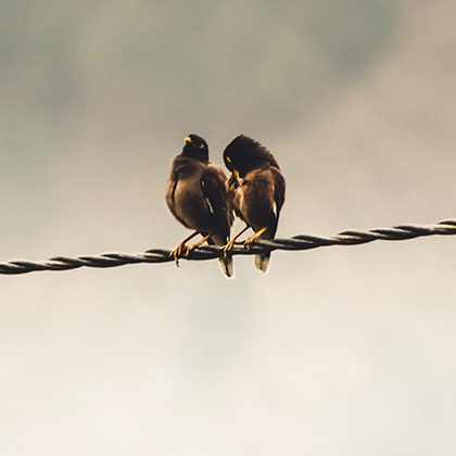 难以想象，这些星座男居然最痴情