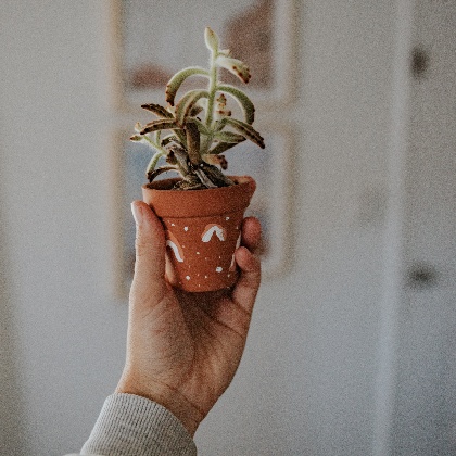 惊蛰过后，12星座运势避雷tips！