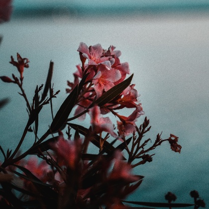 金牛新月，12星座会迎来哪些变化