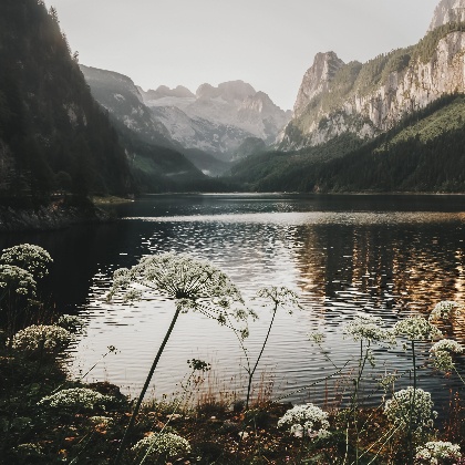 wow！七月桃花财运兼得的三大星座