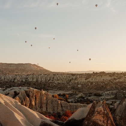 射手新月！12星座许愿指南大公开