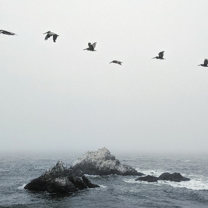 射手月！12星座开运tips大公开！