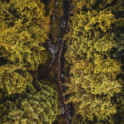 12星座未来被辜负的概率有多大？