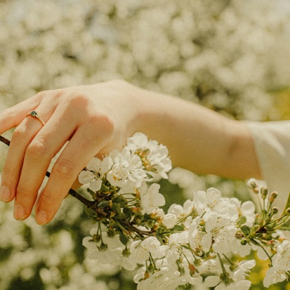 木星进入金牛快来领取你的好运气