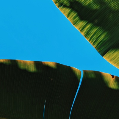 夏至将至，12星座如何度过会更充实？