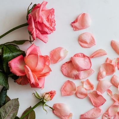 跟哪个星座的人谈恋爱最累？