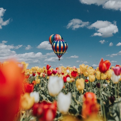 领好运!12星座8月事业学业运分析