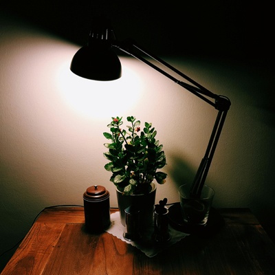 熬夜冠军？揭 12星座的“夜生活”！