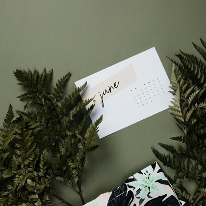 2024年6月12星座整体运势预测！