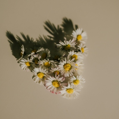 多次恋爱失败后，12星座还信爱情吗？