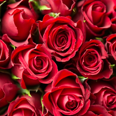 七夕：12星座如何浪漫中增进感情