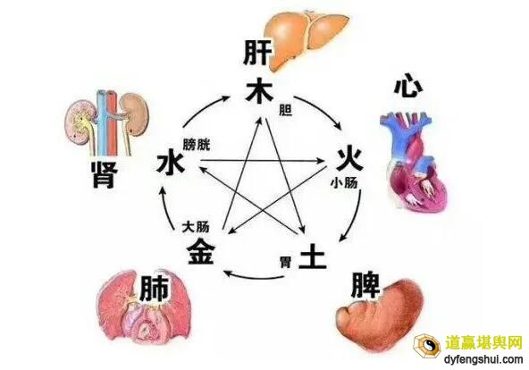 五行与五脏的对应关系