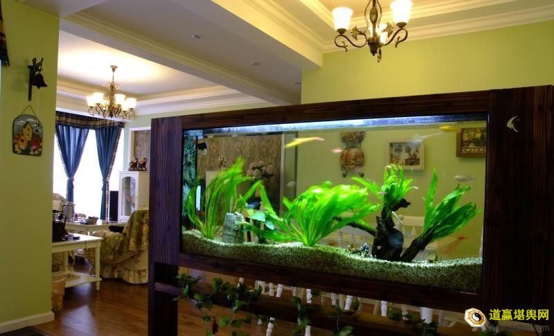 养鱼不可不知的风水禁忌