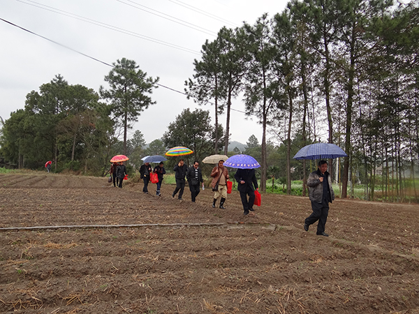 三年寻龙 十年点穴、杨公风水寻龙点穴秘诀