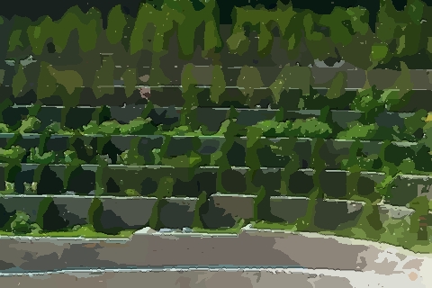 如何看阴宅风水好不好