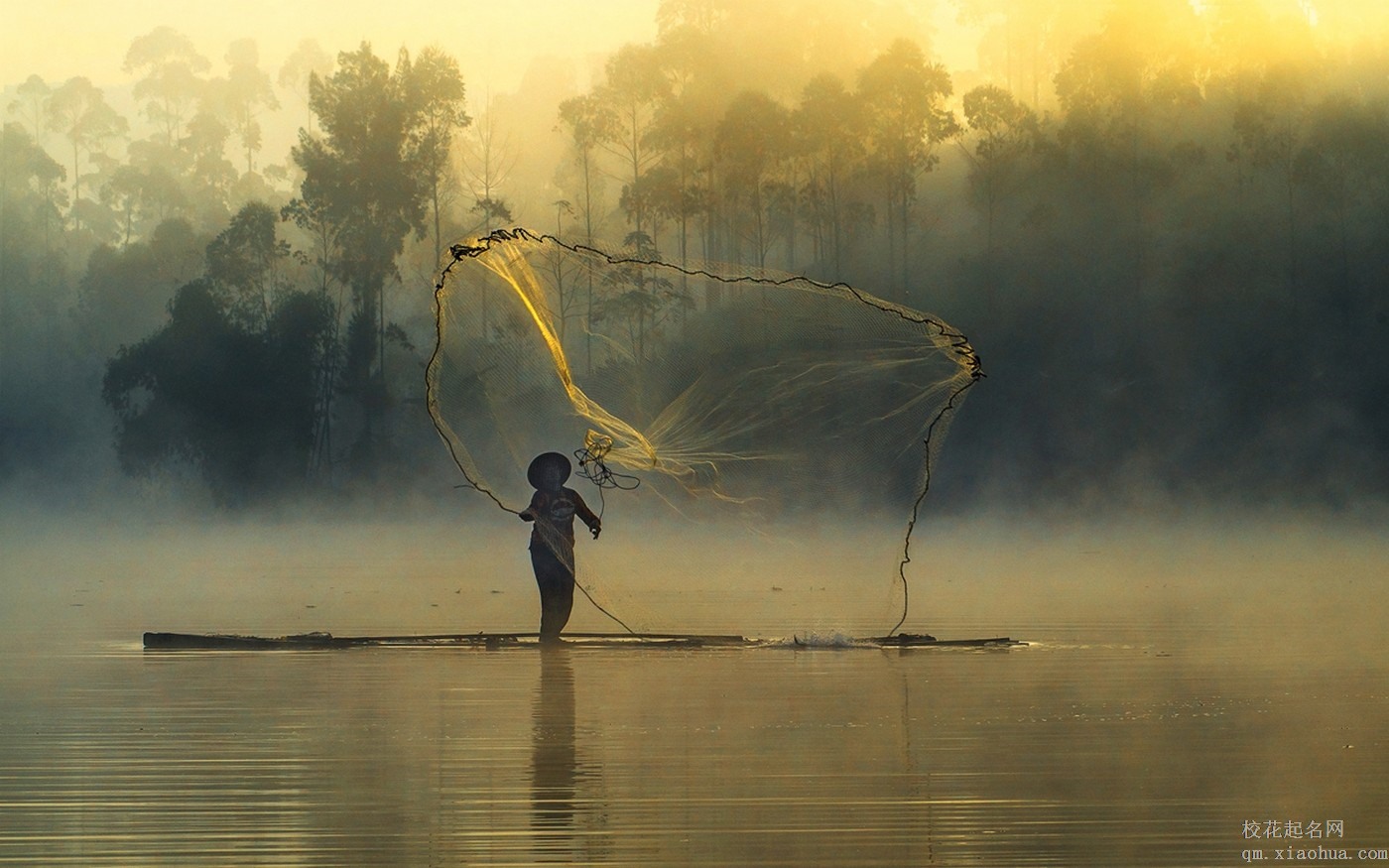 梦见钓鱼又放了