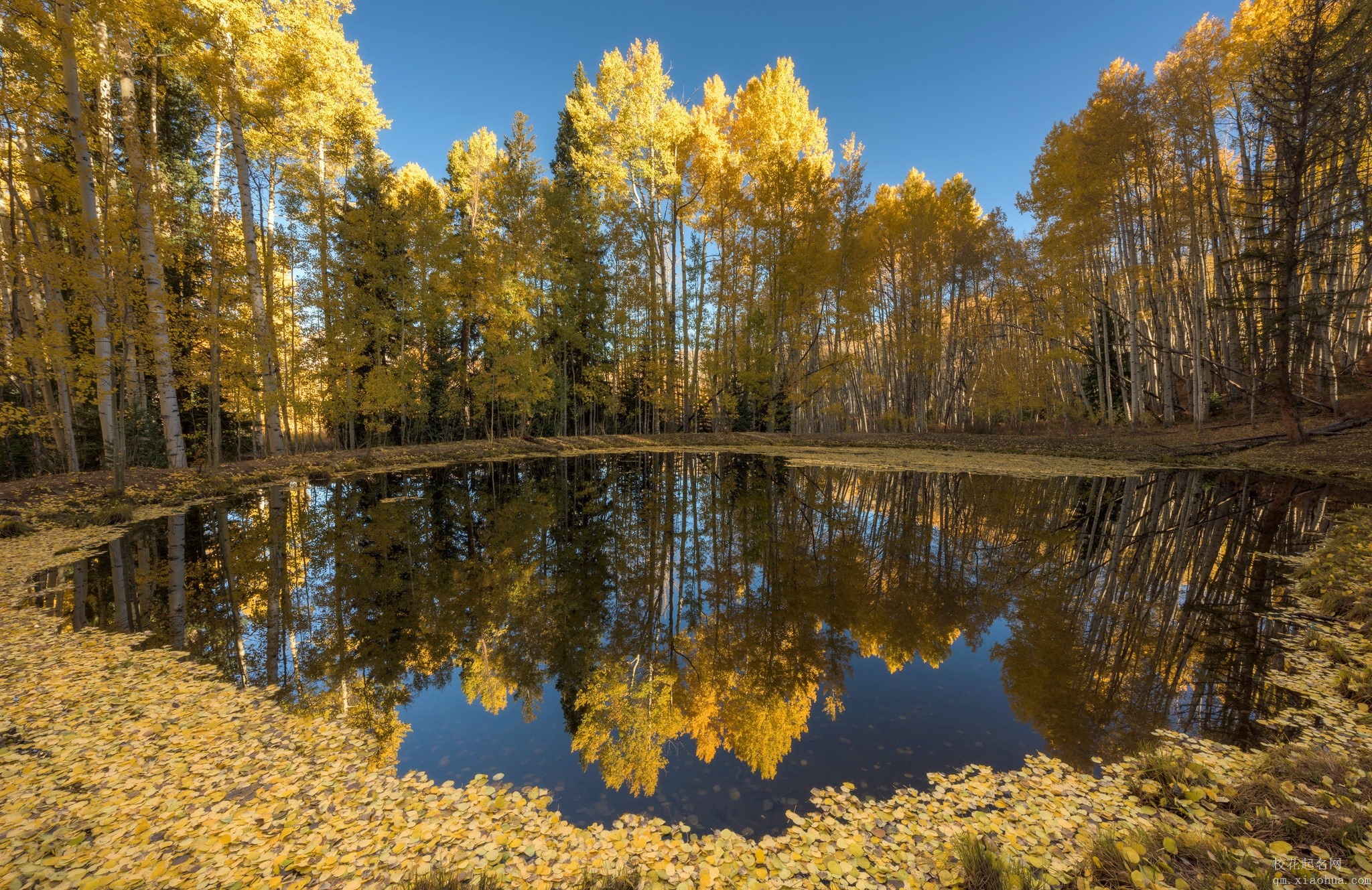 梦见别人挑俩担谷物送我