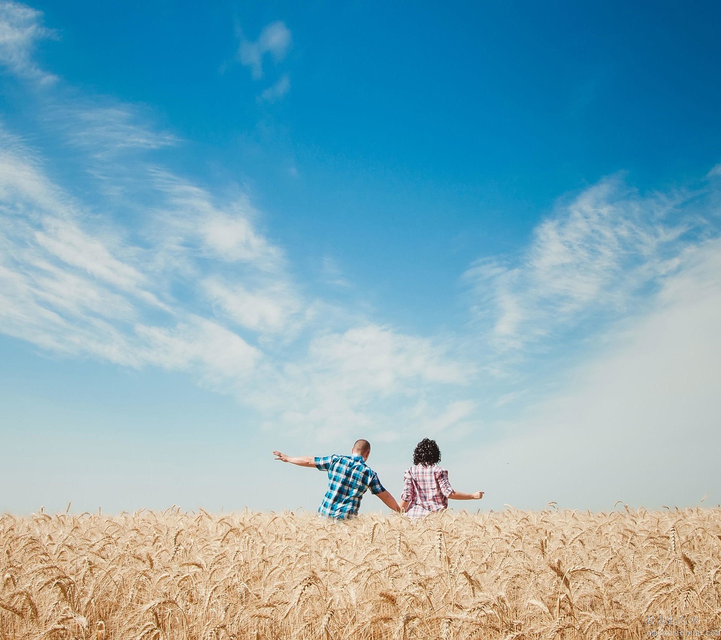 梦见稻谷雨好不好