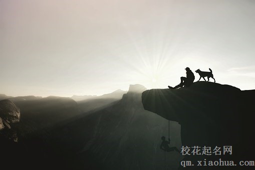 梦见狗爬山运势好不好