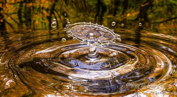 梦见迷路掉进水里