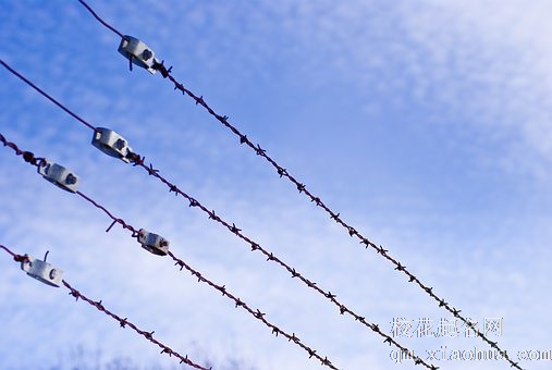 梦见男朋友坐牢是什么征兆