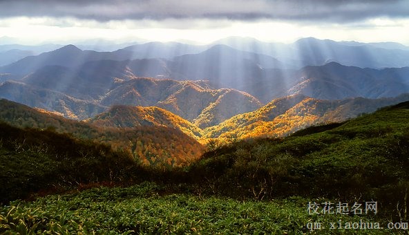 梦见爬山爬到山顶