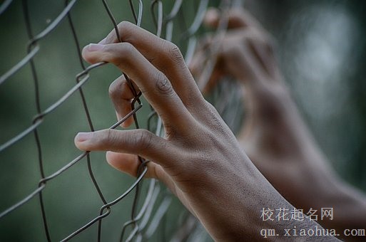 梦见坐牢的朋友是什么征兆