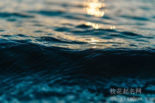 梦见大海海边有死鱼