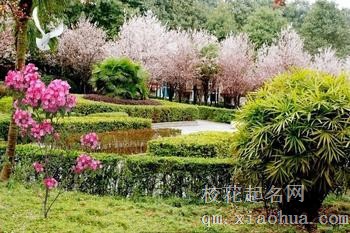 梦见公园