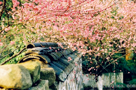 梦见丈夫与人有染