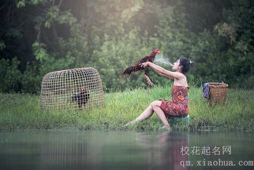 梦见别人和妈妈打架