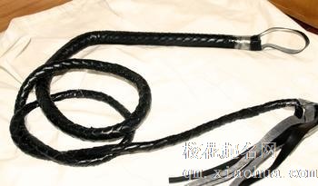 梦见鞭子